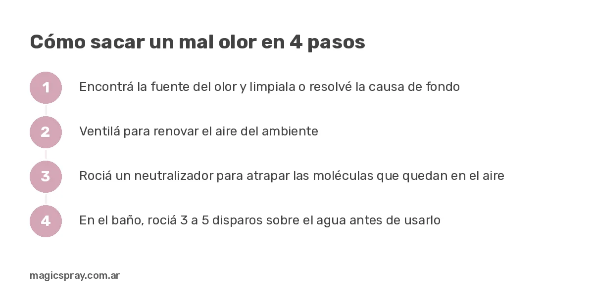 Gráfico con los 4 pasos para sacar un mal olor según cómo funciona el olfato: limpiar, ventilar, neutralizar y prevenir