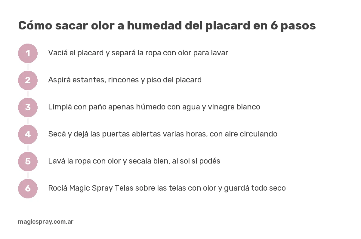 Gráfico de seis pasos sobre cómo sacar olor a humedad del placard: vaciar, aspirar, limpiar, secar, lavar y rociar las telas