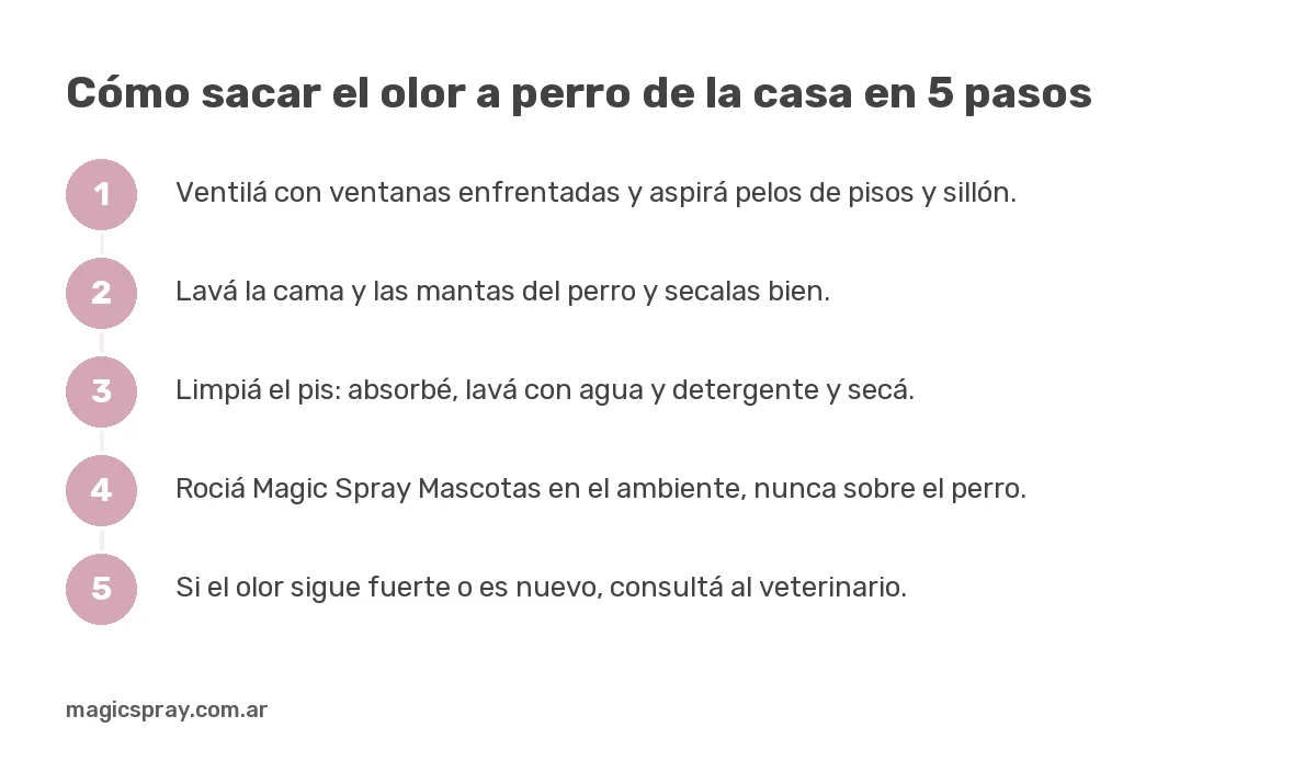 Gráfico con cinco pasos para sacar el olor a perro de la casa usando un neutralizador de olores de perro