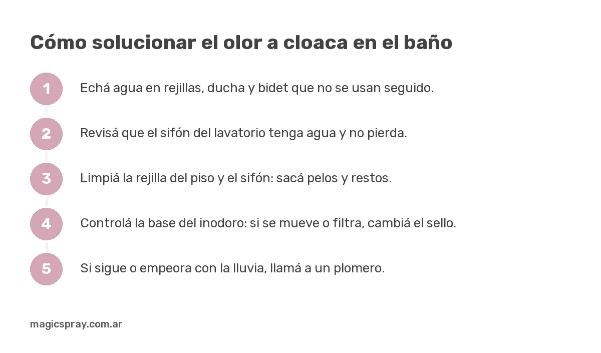 Pasos para solucionar el olor a cloaca en el baño: agua en desagües, sifón, rejilla, inodoro y plomero