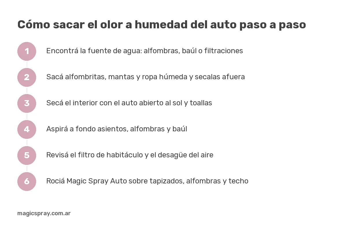 Gráfico con los pasos para sacar el olor a humedad del auto: encontrar la fuente, secar, aspirar, revisar el aire y neutralizar