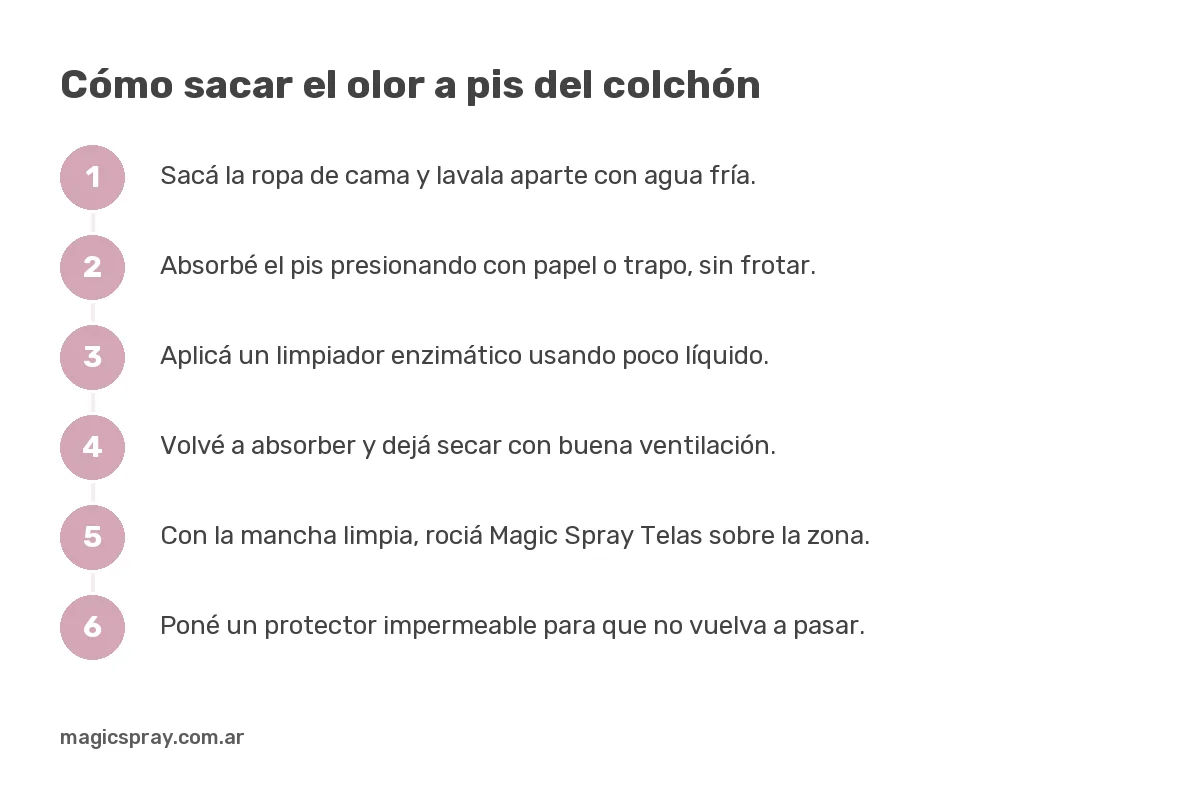Pasos para sacar el olor a pis del colchón: absorber, limpiador enzimático, secar, neutralizar y proteger
